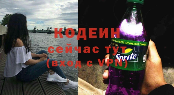 дживик Елизово