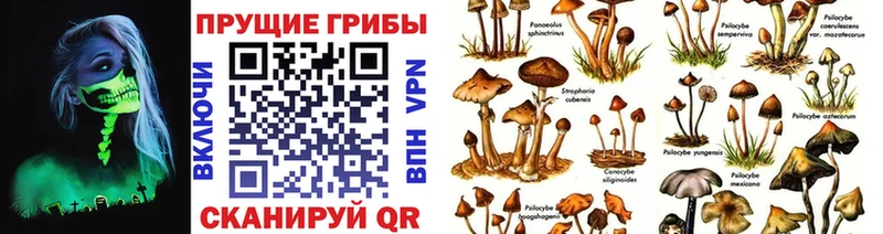 Псилоцибиновые грибы прущие грибы  Купить где  Ульяновск 