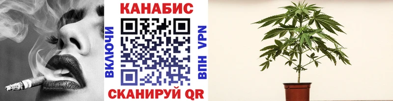 Купить закладки  Ульяновск  Бошки Шишки ГИДРОПОН 